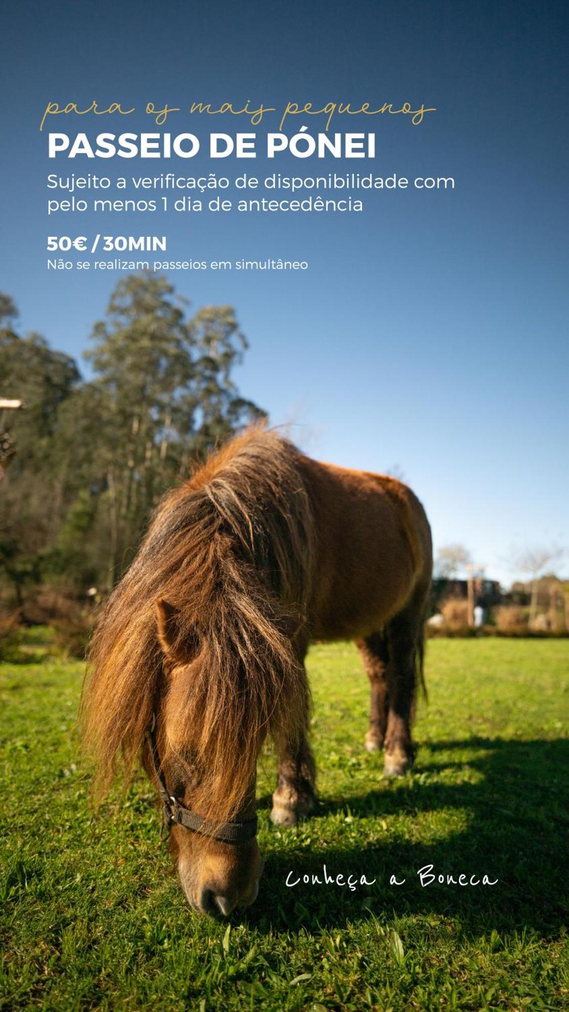 Sandim Bruval Eco Retreat酒店 外观 照片